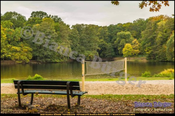 Bild "Entspannter Ausblick im Volkspark Jungfernheide"